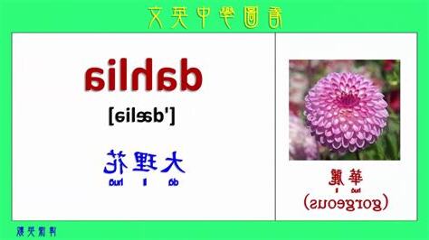 花名 意思